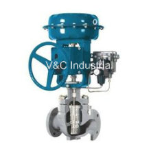 Caged Control Valve with Actuator